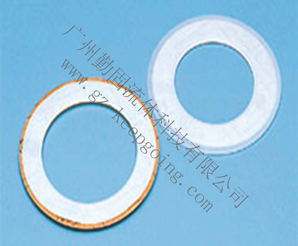 聚四氟乙烯(PTFE)包覆墊片